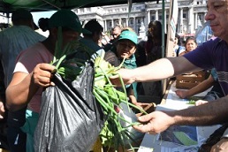 Un verdurazo en el Congreso por tierras para producir