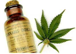 Chubut , Neuquén, Santa Fe y Salta ya autorizaron el uso medicinal del aceite de cannabis