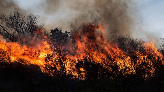 El país en llamas: declaran la emergencia ígnea por un año y alertan que la situación es 