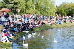 Llegó la primavera y los estudiantes festejan su día.