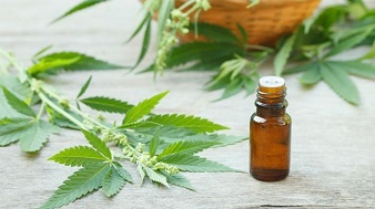 Gobierno promulgó la ley que habilita el uso medicinal del cannabis