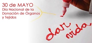 Día Nacional de la Donación de Órganos: trasplantes crecieron 12% en el útlimo año