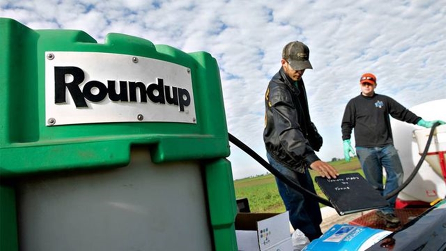 Fallo de la Justicia en contra de Monsanto por el uso de glifosato