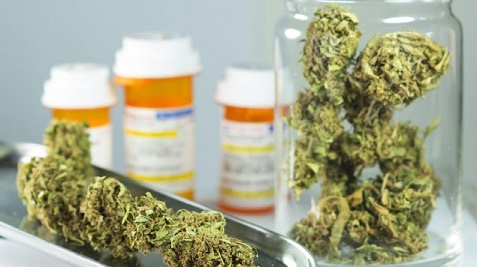 El Senado convirtió en ley el uso medicinal del aceite de cannabis Aunque no autorizó el cultivo, se difer