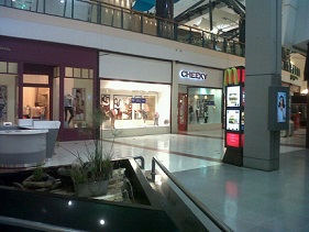Se llevó una cartera del baño de mujeres del Shopping, fue demorada.