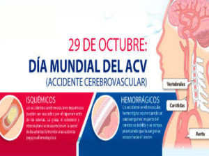 Día Mundial del ACV: la enfermedad que en minutos mata millones de neuronas
