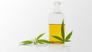 Buenos Aires adherirá a la ley nacional de Cannabis Medicinal