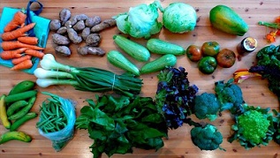 Te decimos quealimentos que nunca deben faltar en la dieta diaria