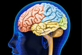 Como cuidar la salud del cerebro.