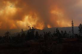 Chile declaró estado de catástrofe por los incendios y sigue aumentando la cifra de fallecidos
